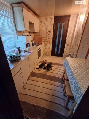 Продаж Дім Широка Балка