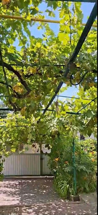 Продам дачу Черноморка