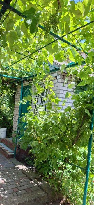 Продам дачу Черноморка