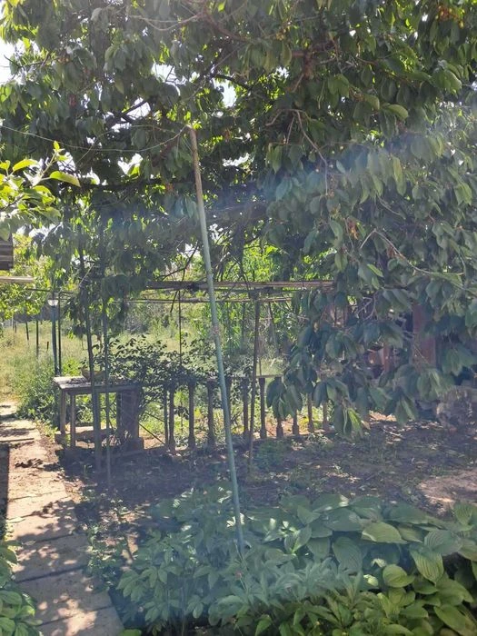 Продам дом с участком Рыбачья / Долгая
