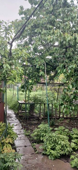 Продам дом с участком Рыбачья / Долгая