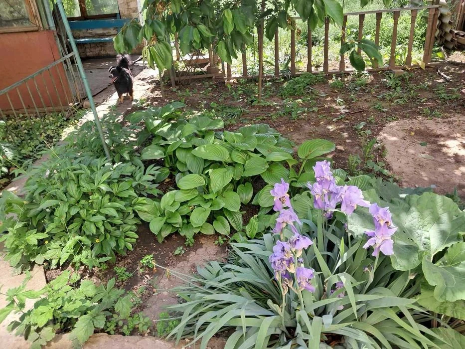 Продам дом с участком Рыбачья / Долгая