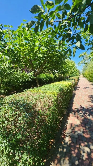 Участок 15 соток Совиньон Люстдорф — продажа, 3050