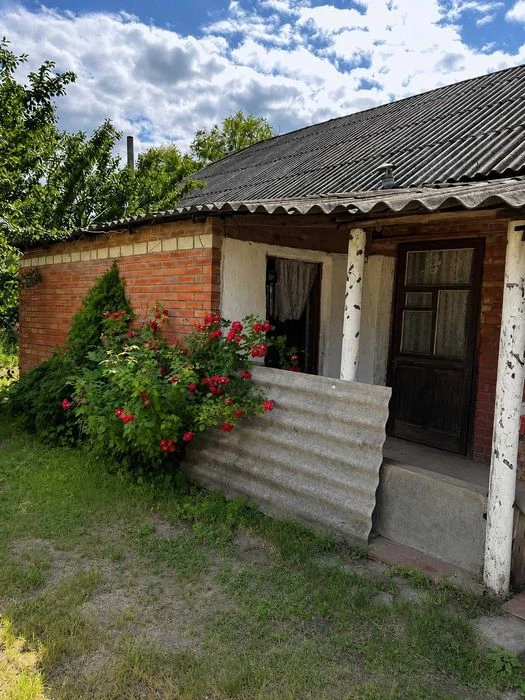 Продаж будинку Вороніна 87м2 10 соток  №16771