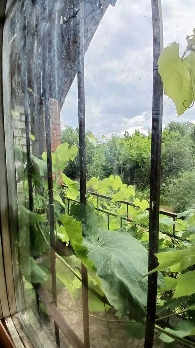 Продам дачу на Вороніна