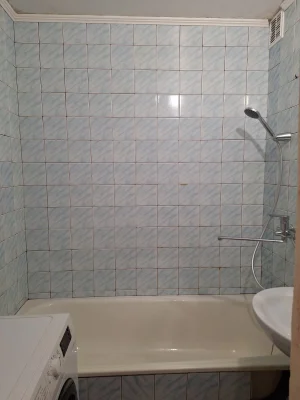 Оренда 1-кімнатної квартири 32 м², Урлівська вул., 1/8