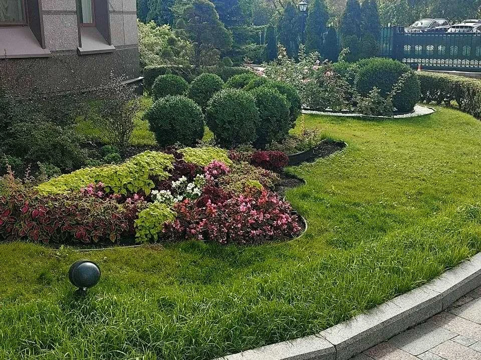 Квартира. Київ, Тараса Шевченка бульв.