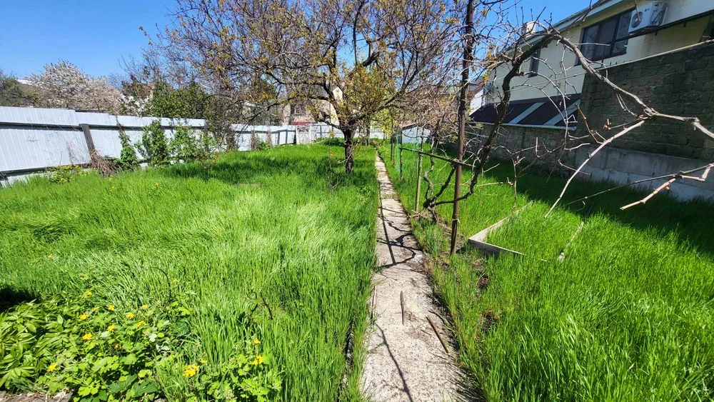 The house is a dacha on a plot of 4 acres. Gold Coast