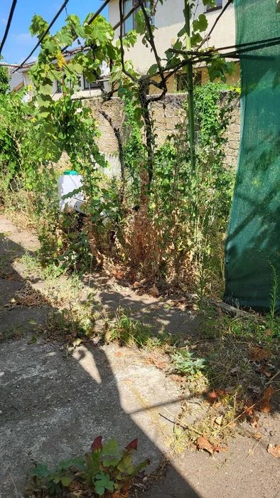 The house is a dacha on a plot of 4 acres. Gold Coast