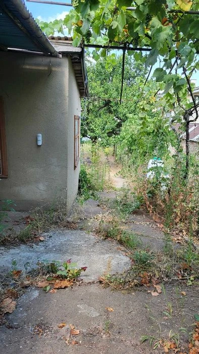 The house is a dacha on a plot of 4 acres. Gold Coast
