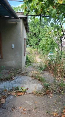 The house is a dacha on a plot of 4 acres. Gold Coast