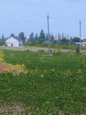 продам земельну ділянку 0 37га р-н Нового ринку