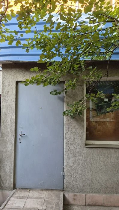 Продам будинок з великою ділянкою землі