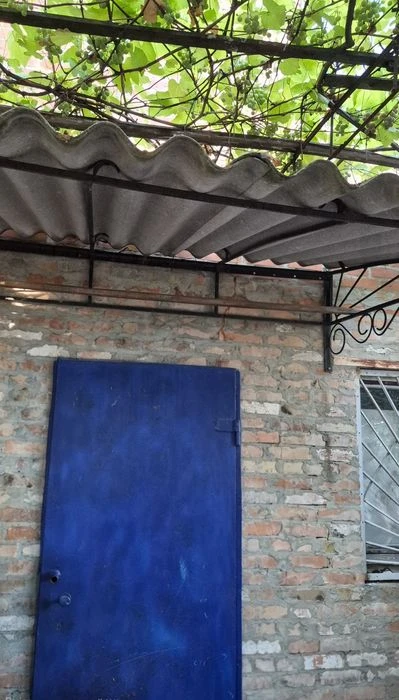 Продам будинок з великою ділянкою землі