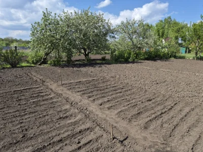 Продам будинок з великою ділянкою землі