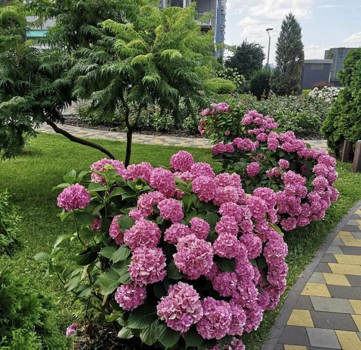 Продажа 2-х кімн квартиры в River Stone Риверстоун  Трускаве