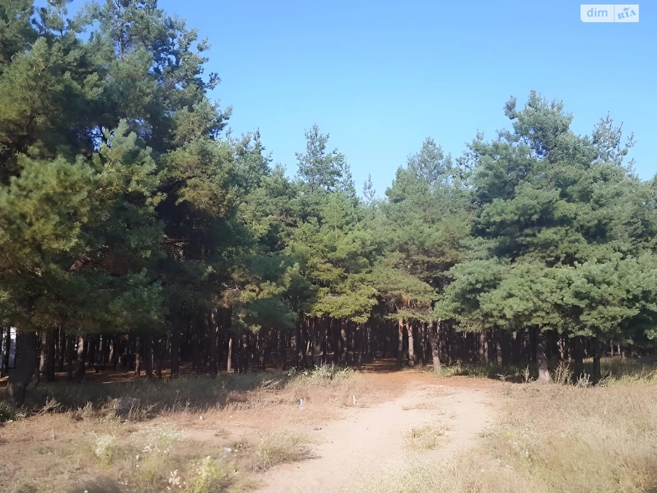 Продаж Ділянка під житлову забудову Корабельний