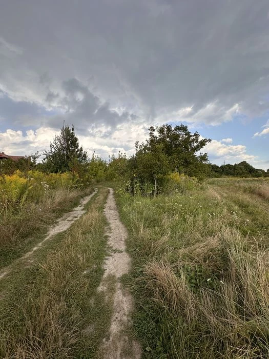 Продаю земельну ділянку в Рівному, провулок Корнинський