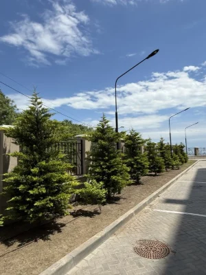 Квартира у моря, 50 кв.м, АГВ
