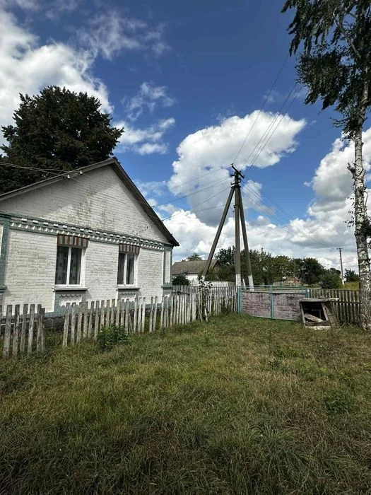 Продам будинок  в селі Хижинці