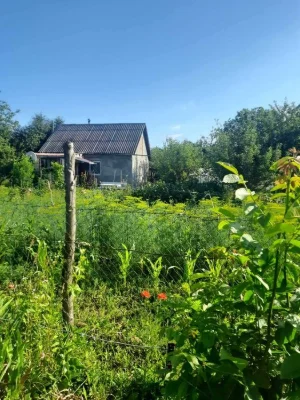 Дача/будинок/земля - 10 соток + 2 дод. діл. горіхова, і звич
