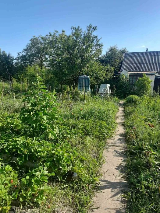 Дача/будинок/земля - 10 соток + 2 дод. діл. горіхова, і звич