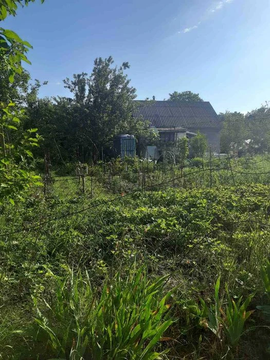 Дача/будинок/земля - 10 соток + 2 дод. діл. горіхова, і звич