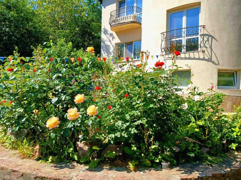 Будинок. Київ, Нечуя-Левицького вул.
