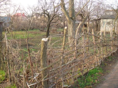Продаж Ділянка під житлову забудову Бородинський
