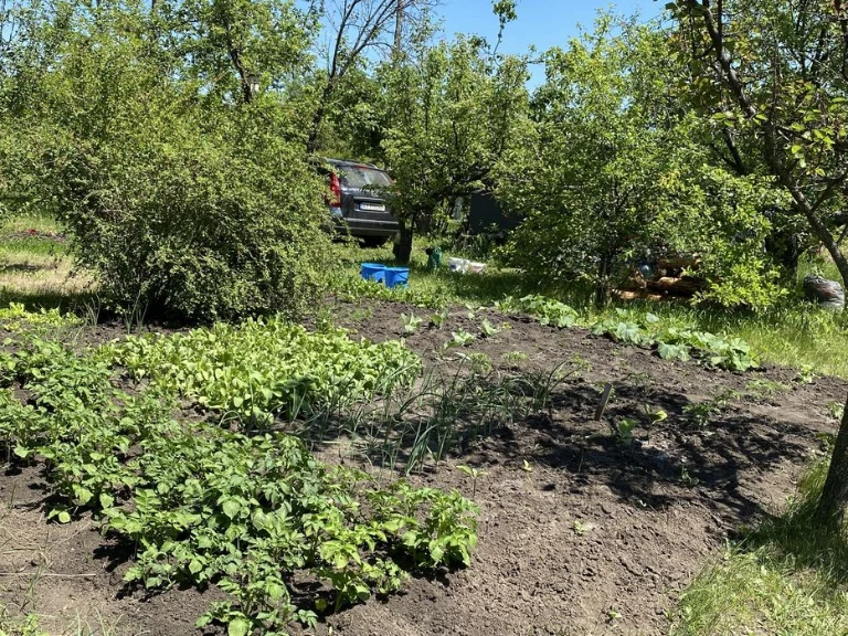 Продам дачну ділянку