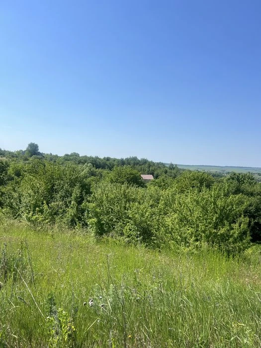 Земля 9.5 сотих , дачний масив. В стороні гречан . Можна під