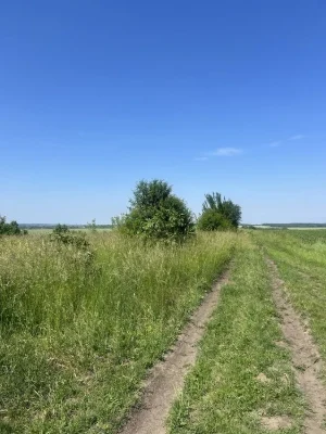 Земля 9.5 сотих , дачний масив. В стороні гречан . Можна під