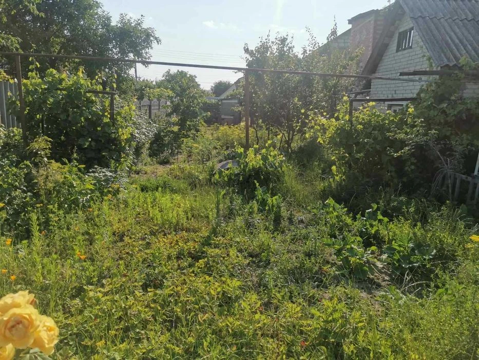 Дім на Пришибі (Суми) площею близько 60 кв.м