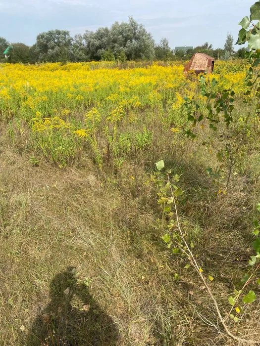 Земельна ділянка для садівництва