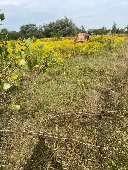 Земельна ділянка для садівництва