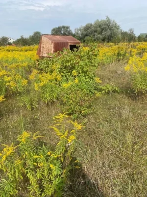 Земельна ділянка для садівництва