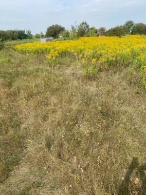 Земельна ділянка для садівництва