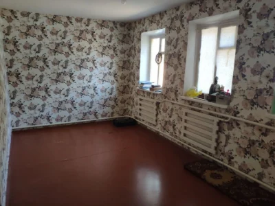 Будинок дніпро одінковка
