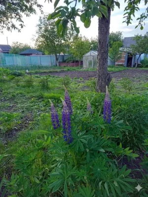Продам або здам в оренду дачу в чудовому стані. 2007 року бу