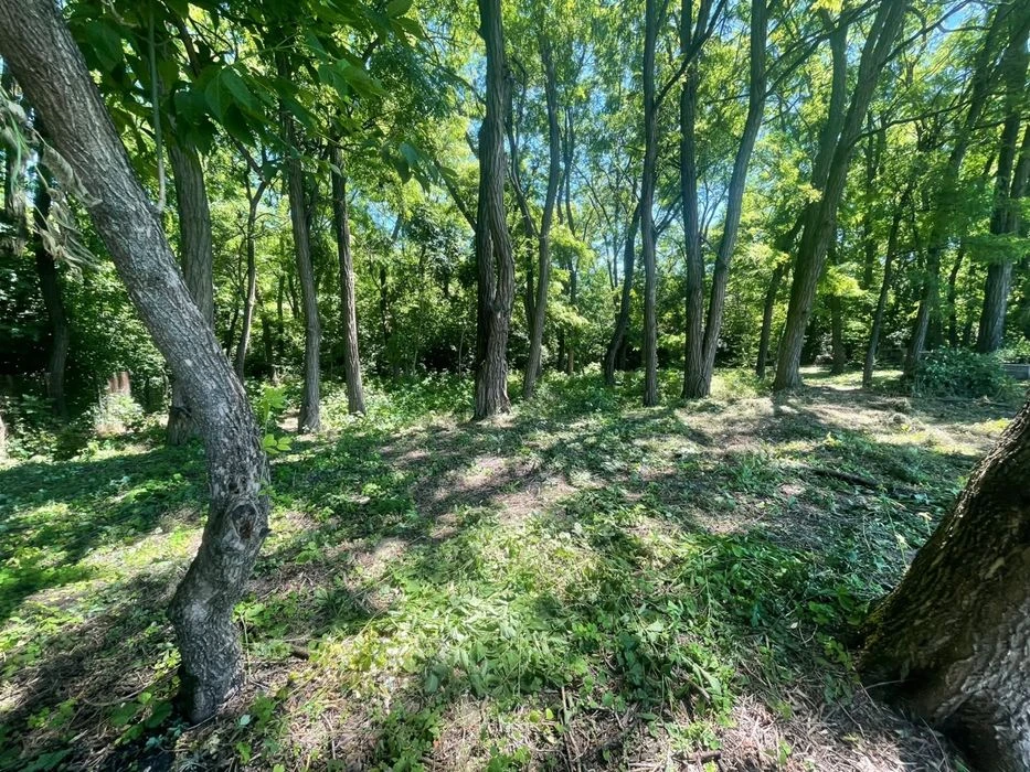 Продам ділянку в Краснопіллі