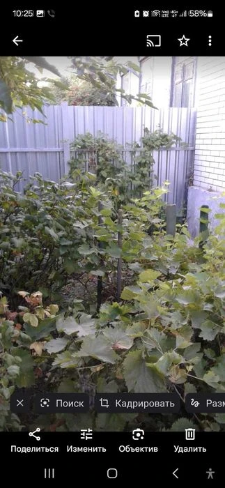 Продажа  пол дома.