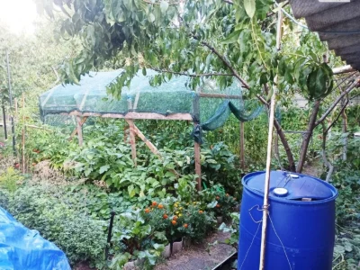 Продаж Квартира Соснівський