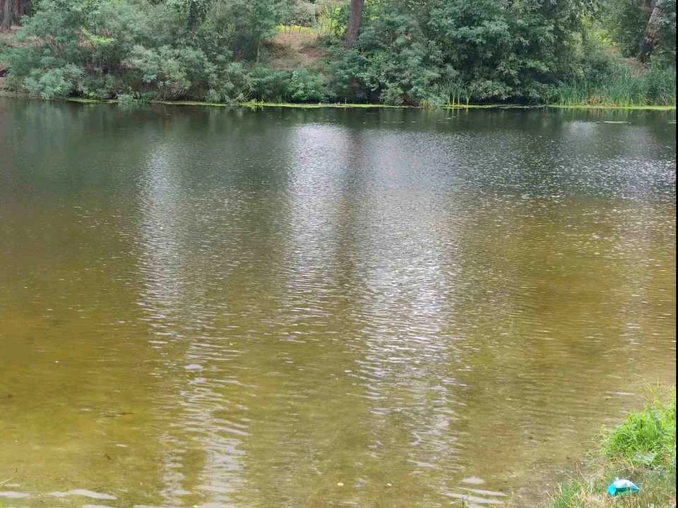 Будинок. Полтава, Колійна вул. (Вороніна)