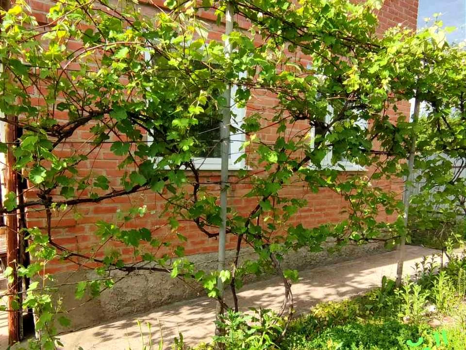 Будинок. Полтава, Колійна вул. (Вороніна)