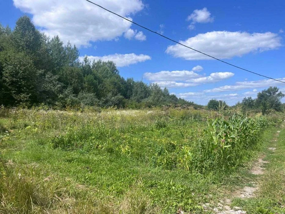 Продаж земельної ділянки. Видрові Доли.