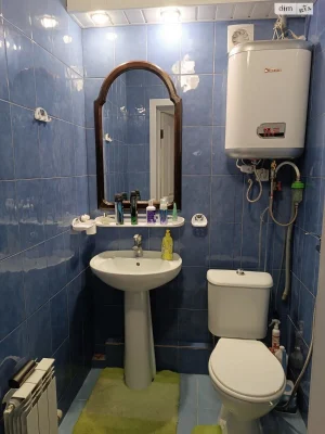 Продаж Дім Амур-Нижньодніпровський