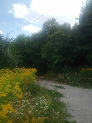 Продам будинок на Вінницьких Хуторах!