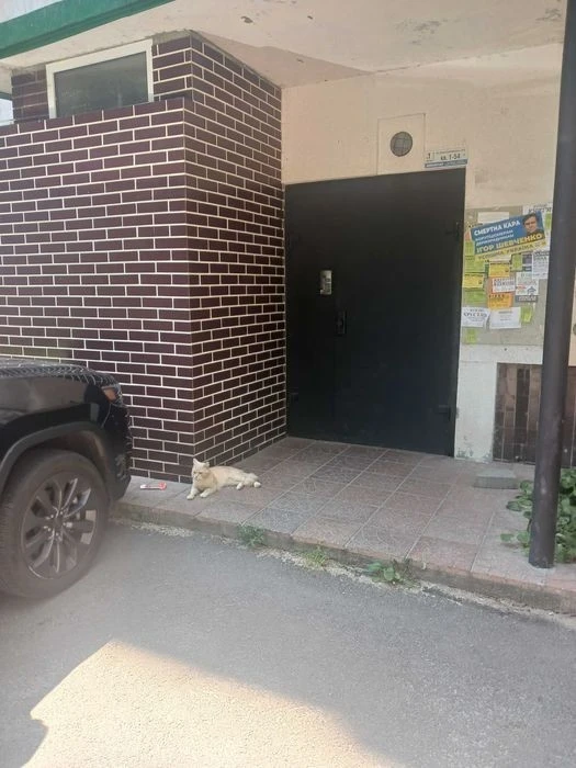 Продам 1-ю "Чешку" на Щербаковского 49д