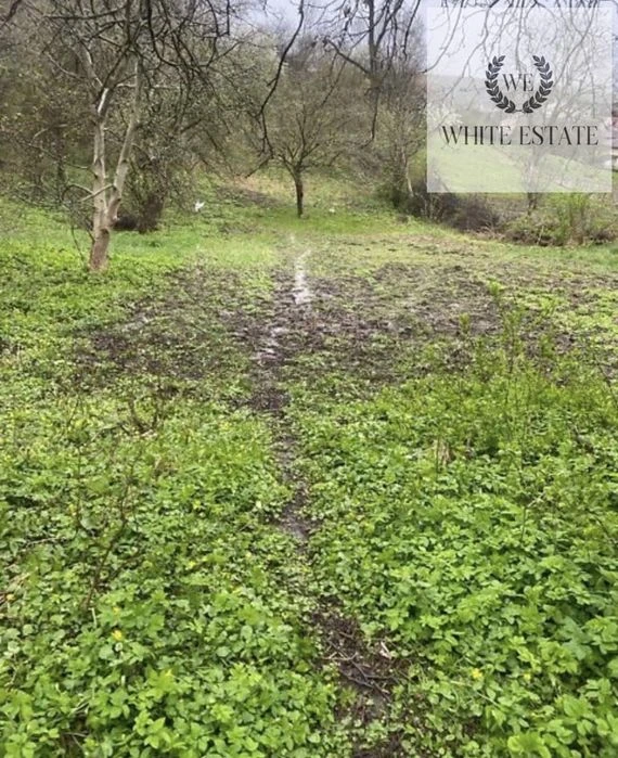 Продаж ділянки в Кутківцях
