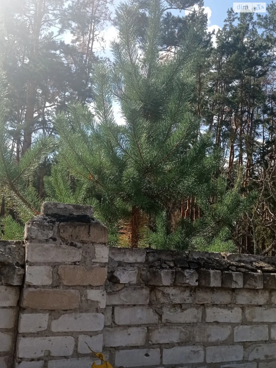 Продаж Дім Жихор